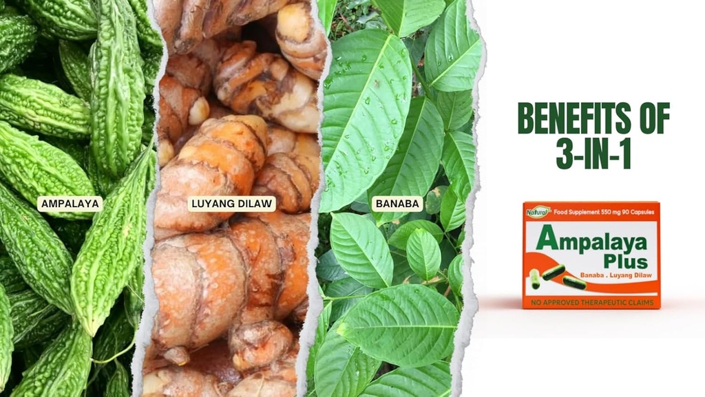 Ampalaya Plus 550mg 90 Kapsle - Balení po 1 - s Banaba, Turmeric Ginger a Bitter Melon od Ampalaya Plus - Halal Bylinné Suplements