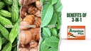 Ampalaya Plus 550mg 90 Kapsle - Balení po 1 - s Banaba, Turmeric Ginger a Bitter Melon od Ampalaya Plus - Halal Bylinné Suplements