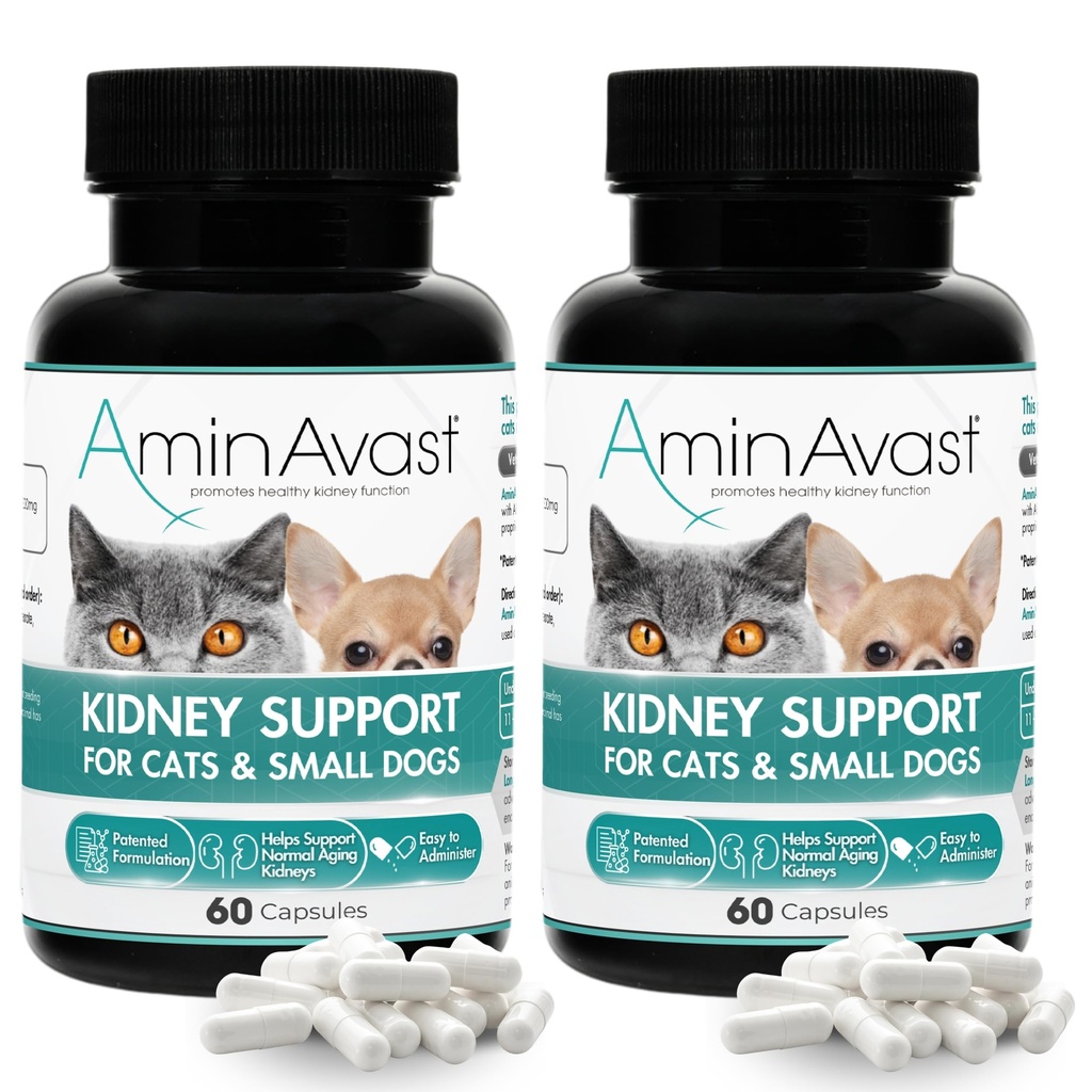AminAvast Ledviny Supplement pro kočky a malé psy, 300mg 2- Pack - Promotes Natural Ledviny Function - Podpora zdraví a vitality stárnoucích ledvin - Snadno podávané - 60 Sprinkle Kapsle