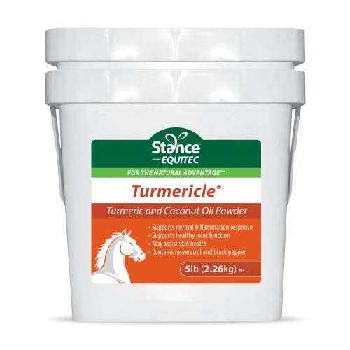 Přírodní kurkumový prášek pro koně s práškovým kokosovým olejem - Turmericle Anti- Inflamory Horse Supplemente for Health Hip & Joint Function - Normální zdraví pokožky