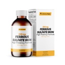 Železný sulfát 325mg tekutý železo 65mg elementárního železa Llodens Care - 6 oz - karamel Flavor (6 oz, karamel)