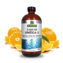 Odpověď přírody tekutý Omega-3 Omega-124; hlubokomořský rybí olej s doplňkem stravy EPA / DHA 124; Kardiovaskulární podpůrná dávka 124; žádné konzervanty a gluten-Free 16oz (balení po 1)