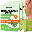Wellnee Original Bylinné Knee Patch - Wellknee Plaster for Knee Support & Muscle Pain - Maximální síla pro dočasnou úlevu - Připevňovací tepelné náplasti Vyrobené s přírodními bylinkami pro wellness (30 Pads)