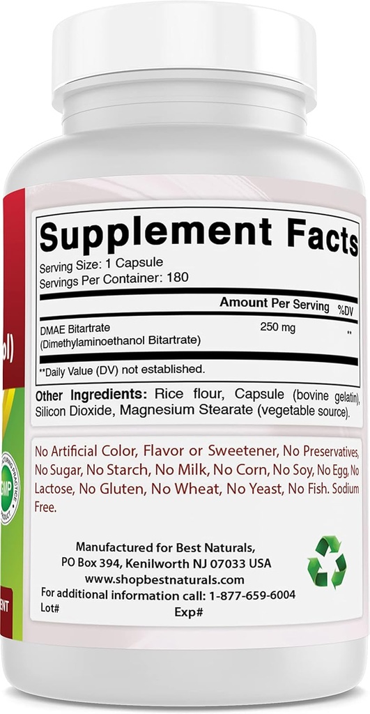 Nejlepší Naturals DMAE dodatek 250 mg & Vitamin B1 jako Thiamin Mononitrát 100 mg