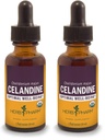 Herb Pharm Certified Organic Celandine Liquid Extract - 1 Ounce (Balení po 2)