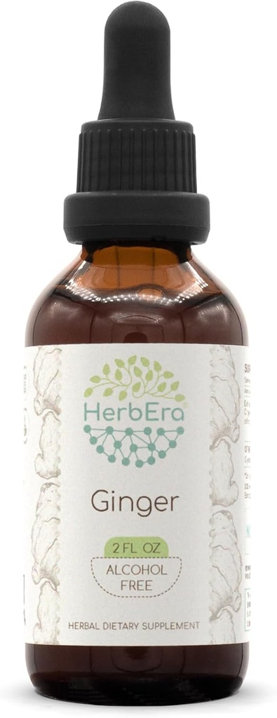 HerbEra Ginger B60 Alcohol- Free Bylinný extrakt tinktura, superkoncentrát zázvor (Zingiber officinale) 2 fl oz