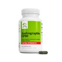 Terry Přirozeně Andrographis EP80 Extra Strength - Brain Health & Immunicate Support - Společný doplněk pro podporu mobility - Vegan Adaptogen Dodatek pro energetiku a podporu jater - 60 Kapsle