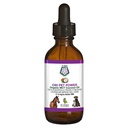 C60 Power for domestics - C60 in Organic MCT Coconut Oil, Natural Wellness Support for Dogs & Cats, Pure Carbon Fullerees, Promotes Health Aging, Energy, & Mobility - 2 fl oz Bottle