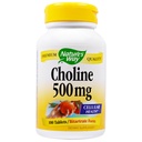 NATURE 'S WAY Cholin 500 mg 100 tablet