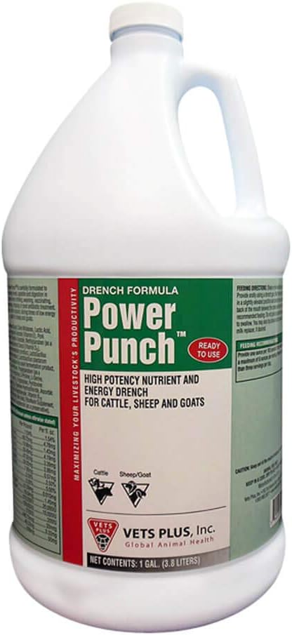 Veteráni Plus energetický punč, energetický klíč, Gallon
