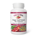 Přírodní faktory, Extrakt ze semen grapeSeedRich Grape, Antioxidant Podpora zdravé zánětlivé odpovědi, 90 Kapsle