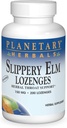 PLANETOR HERBALS Slippery Elm Lozenges, Neochucené, 200 Počet