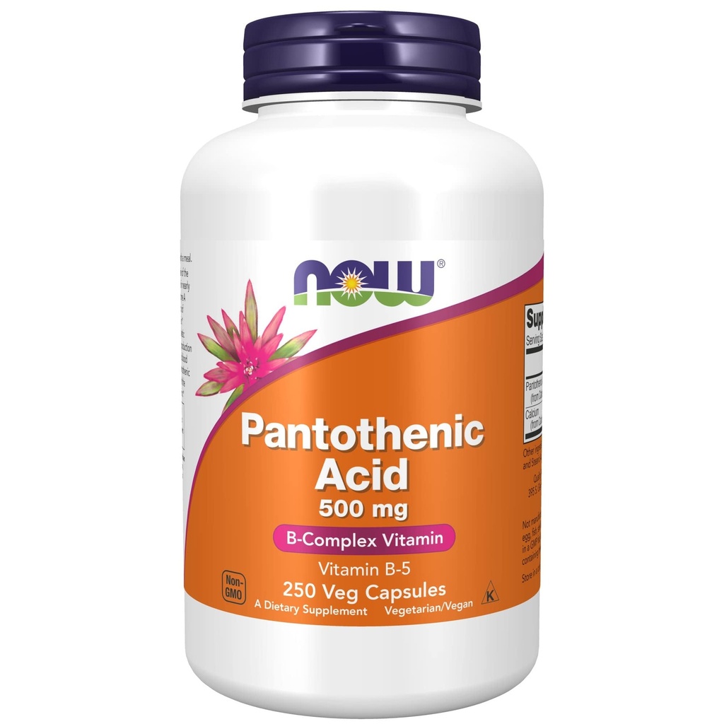 Nyní Potraviny doplňky, Pantotenová kyselina (vitamin B- 5) 500 mg, B- komplex vitamin, 250 Kapsle