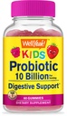 WellYeah Probiotika pro děti Gummies -10 miliard CFU - pro Gut zdraví, imunitní zdraví a stravovací podpora - Berry Flavor Žvýkací dodatek - Vegan, non GMO, Gluten zdarma děti Probiotic -60 Gummies