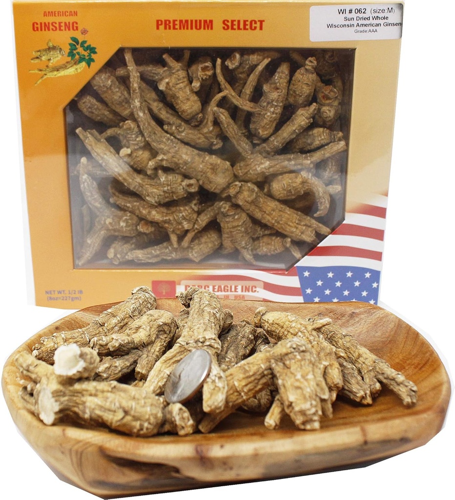 Vybraný americký Wisconsin Farmed Ginseng Root Medium & Large Ginseng
