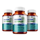 1 Body Brain Support Triple Pack, Alpha GPC a Lion 's Mane Extract, 90 Kapsle Každý