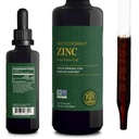 Globální léčení USDA organické zinkové doplňky kapalné - čisté vitamínové kapky pro imunitní systém zvýšení, Hormon bilance, a zdravé stárnutí - přírodní, Vegan- Friendly, Non- GMO, organické zinek vitaminy (2 Fl Oz)