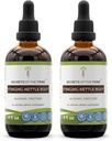 Tajemství kmene Stinging Nettle Root Tincture Alkohol Extract, high- Potency Bylinné kapky, Tincture Made from Stinging Nettle Urtica Dioica Respirační a močový systém zdraví 2x4 oz