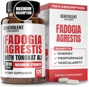 Fadogia Agrestis 1500mg [Nejvyšší čistota] + BioPerine ® pro vysoce absorpční doplněk s Tongkat Ali - Zvýšení Stamina, Lean Muscle Growth & Recovery, Posilování Drive 3. strana Testováno 120 Kapsle