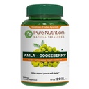 Čistá výživa Amla Extract 1000mg. (Ekvivalentní k 8000mg Amla Fruit Powder) Non GMO CARL 124; 120 Veg Caps.