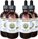 Hawaii Pharm Oregon Grape Alcohol- Free Liquid Extract, Oregon Grape (Mahonia aquifolium) Sušený Root Glycerite přírodní bylinný dodatek, USA 4x4 fl.oz