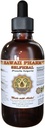 Selfheal Liquid Extract, Organic Selfheal (Prunella Vulgaris) tinktura, Bylinný dodatek, Hawaii Pharm, Made in USA, 4 fl.oz