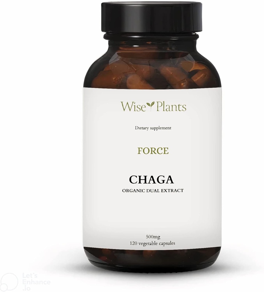Chaga Houba dodatek. Dual Extract, Pure Fruiting Body, 30% Polysacharidy, 500 mg, 120 vegecaps (120- Day Supply). Může podporovat zdravé trávení, imunitní funkce a podporovat zdraví srdce.