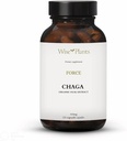 Chaga Houba dodatek. Dual Extract, Pure Fruiting Body, 30% Polysacharidy, 500 mg, 120 vegecaps (120- Day Supply). Může podporovat zdravé trávení, imunitní funkce a podporovat zdraví srdce.