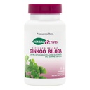Natures Plus Bylinné látky Ginkgo Biloba, Extended Release - 120 mg, 60 Veganských tablet - Vegetariánské, Gluten- Free - 60 Služeb
