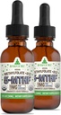 RawGuru Methylfolát 1mg + vitamin B12 - Organic Vegan Methylovaný B12 s stopovými minerály - Nano- Zpracovaná a vylepšená tekutá formule - 300 Podání Veganových kapek na 30 ml, balení po 2 ks