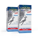 Wellgenix B12 Max Liquid - Vitamin B6, B12 & Folate- High Absorpce - Kardiovaskulární zdraví, Duševní Clarity, Energy Boost & Weight Loss - 1.75oz, 2 Pack