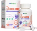 Prenatal Cholin dodatek, 500mg, s Inositolem, B1, B6, Vývoj mozku v Utero / Early Life, Zvýšení obsahu Cholinu v mateřském mléce 30 denní dodávky