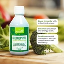 FUNAT chlorofyl Plus tekutý s přírodní mátovou příchutí - Nutrient- Rich Green Supplement for Energy & Wellness, Easy- to- Use Drops - 8.1 FL OZ