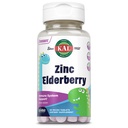 Kal Kids Zinkové Dinosaury Dinosaury, Immunní Supplement * pro děti w / Sambucus Elderberry, Rychlé rozpuštění smíšené Berry Activitts, Fun, Chutné Dino Shapes, Vegan, 90 Služení, 90 Mikro Tablety