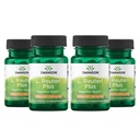 Swanson L. Reuteri Probiotic Plus w / L. Rhamnosus L. Acidophilus & FOS Prebiotic Digestive Support - Promotes Gut Health w / 7 Billion CFU per Capsule - (30 Veggie Capsules) (4 balení)