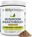 BiOptimizéry Houba Káva Alternative - Chai Drink - Lion 's Mane, Chaga, Reishi + Collagen Peptides for Focus, Energy & Gut Health - Adaptogenní houby & MCT Powder - 15 Služeb