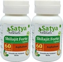 Shilajit Forte Kapsle 500 mg. 60 Veg. Kapsle 124; Shilajit (Asphaltum) Extract Kapsle pro muže a ženy 124; Ayurvedic Bylinný dodatek / Remedies Dublin 124; 10: 1 Forte (2 láhve 60 Kapsle)