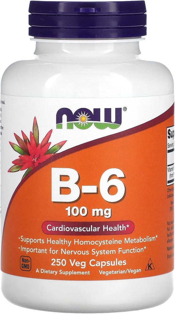 Nyní Potraviny B- 6, 100 mg, 250 Veg Kapsle