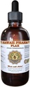 Flax Liquid Extract, Organic Flax (Linum usitatissimum) Dodatek k tinktuře 4 oz