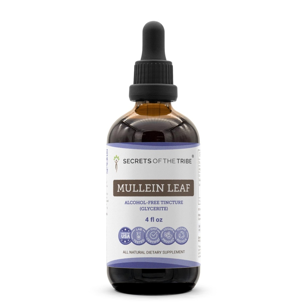 Tajemství Tribe Mullein Leaf Alcohol- Free Liquid Extract, Mullein (Verbascum thapsus) Dodatek tinktury (4 FL OZ)
