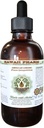 American Ginseng Alcohol- Free Liquid Extract, Ginseng (Panax Quincefolius) Sušený Root Glycerite Hawaii Pharm Natural Bylinný doplněk 4 oz