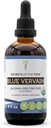 Secrets of the Tribe Blue Vervain USDA Organic CLANE124; Alcohol- Free Extract, High- Potency Herbal Drops CLANE124; Made from 100% Certified Organic Blue Vervain (Verbena Hastata) Sured Herb (4 oz)
