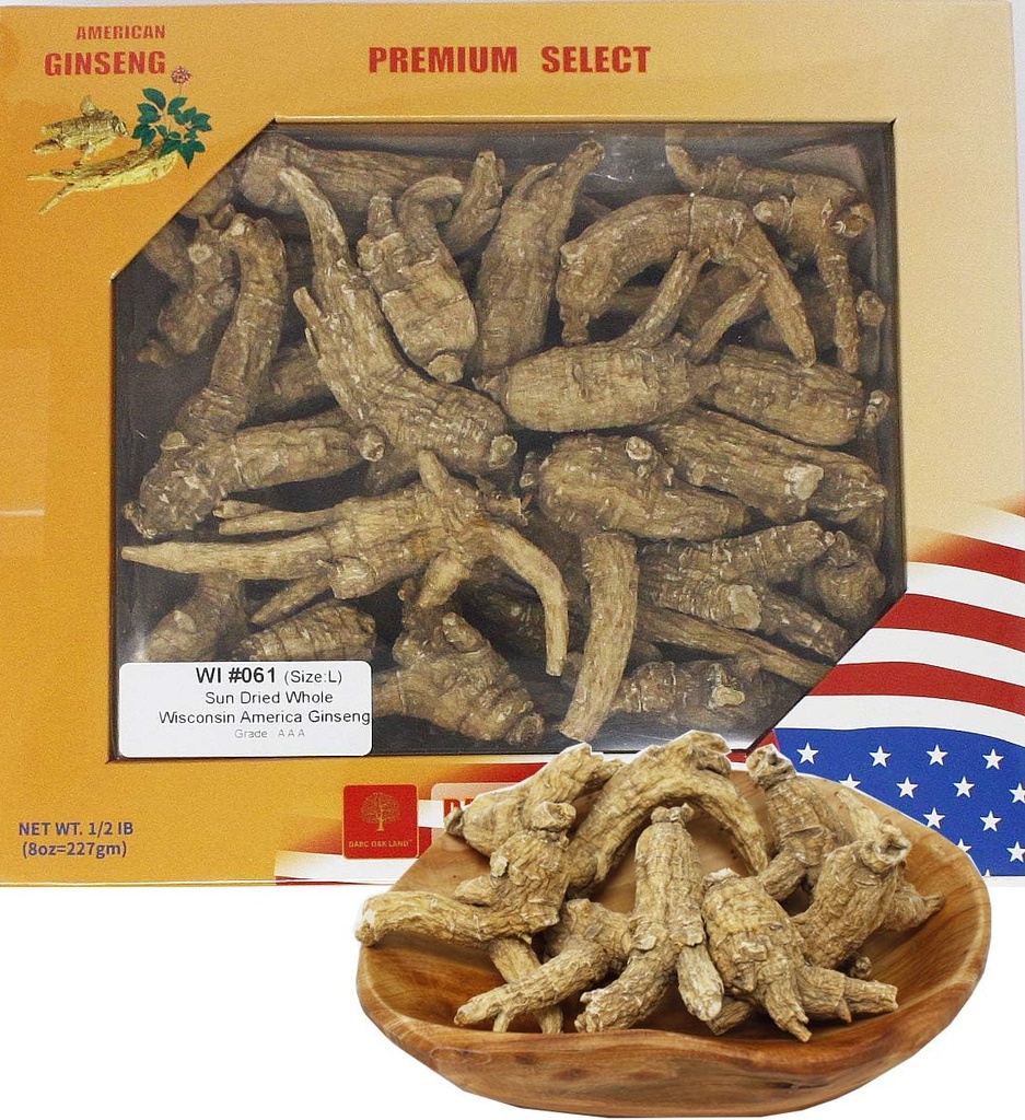 Vybraný americký Wisconsin Farmed Ginseng Root Medium