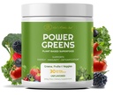 Red 's Kitchen Sink Power Green Powder - Daily Green Superfood Powder - Ovoce, Veggie, & Green Leafy Smoothie Drink Mix - Superfoods Maca Root, Spirulina, Chlorella, & Více (200 gramů)