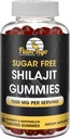 Sugar Free Shilajit Gummies (1000mg Serving) - Přírodní Himalayan Organic Fulvic Acid Shilajit Dodatek pro muže a ženy -60 Gummy Chews