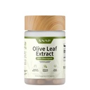 Snap doplňky Olive Leaf Extract Kapsle - Super síla 40% Oleuropein pro podporu krevního toku, Zlepšení trávení, Antioxidant Boost dodatek, Zlepšení funkce mozku (60 Kapsle)