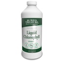 Poklad Poklad tekutý chlorofyl 100 mg, dodatek stravy, střevní stravitelná podpora přírodní tělo Deodorant Vegan Non- GMO Alkohol zdarma, Spearmint Flavor 32oz