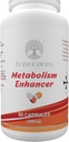 Metabolismus En