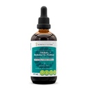 Tajemství kmene kmenové parasite Alcohol- Free Extract, high- potency Bylinné kapky, tinktura Vyrobeno z brusinky, Česnek, Černý ořech, OSHA, Wormwood, Dýně. Střevní čistka Formule 4 oz
