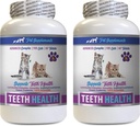 kočička špatné dýchání léčby - CAT zuby zdraví - pokročilé ústa zdravotní komplex - imunitní boost - Vitamin b12 pro kočky - 2 láhve (120 tablet)
